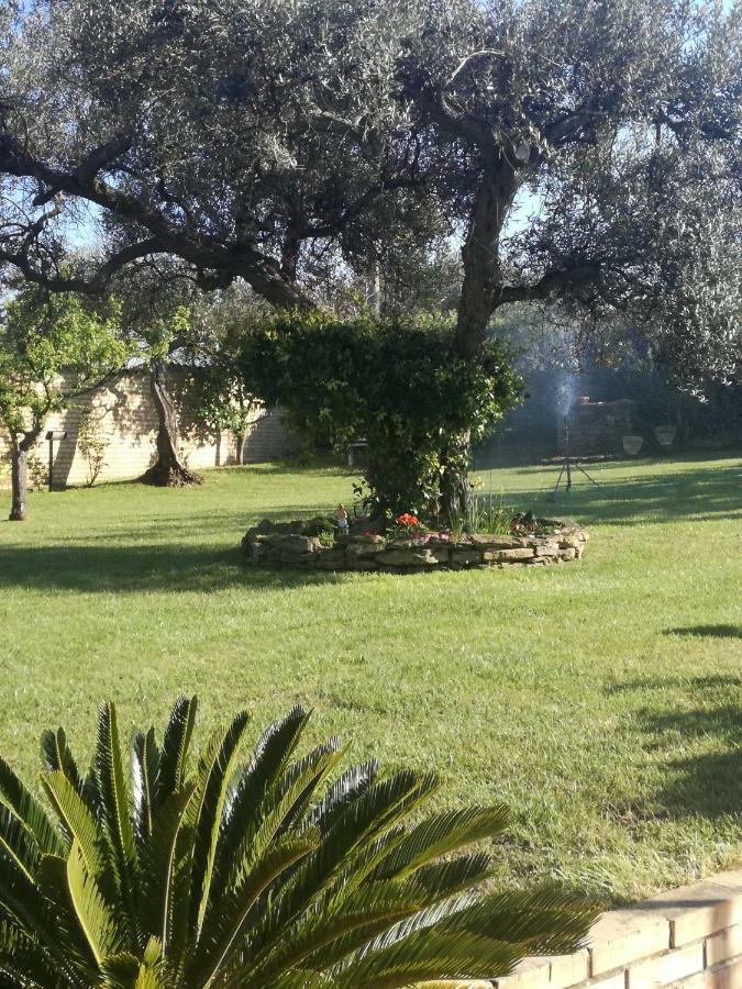 شقة La Collina Del Riccio أورتونا المظهر الخارجي الصورة
